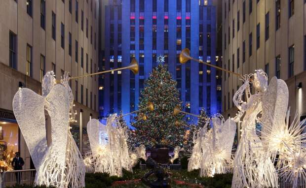 11-most-spectacular-christmas-trees-in-the-world-artnaz-com-4