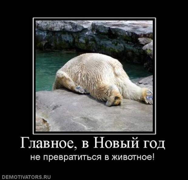 Съедемся. Новогодние демотиваторы смешные свежие. Демотиваторы 2022. Демотиваторы новые 2023. Демотиваторы новые 2022.