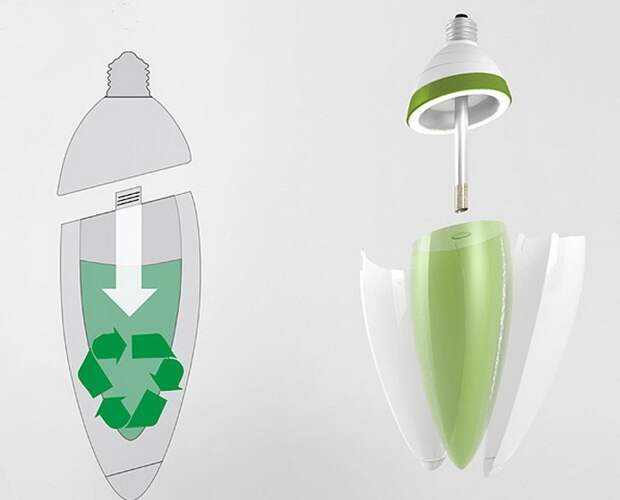 Algaebulb - лампочка, которая работает от энергии водорослей