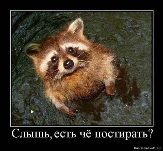 Новые демки приколы для всех.