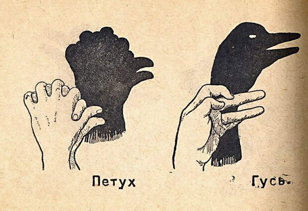 Театр теней: петух и гусь