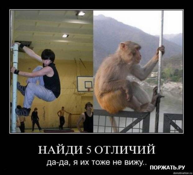 Демотиваторсы