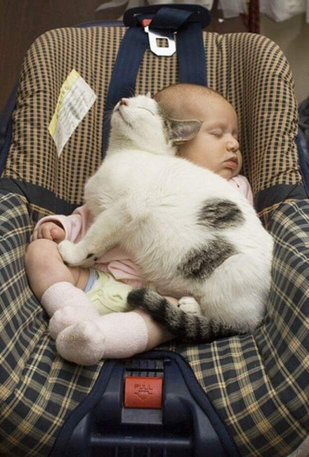 Укачало так укачало... Укачало так укачало...