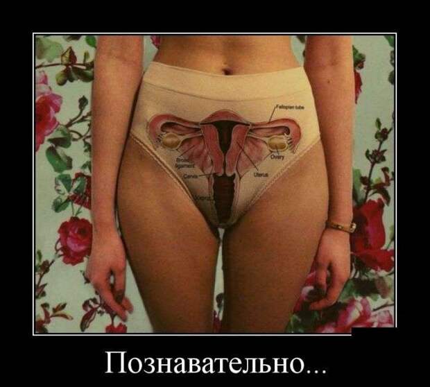 Демотиваторы Демотиваторы