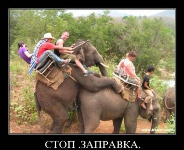 Демотиваторы смешные, юмор в тексте и фото.