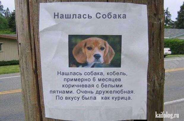 Прикольные объявления и надписи по-русски (60 фото)
