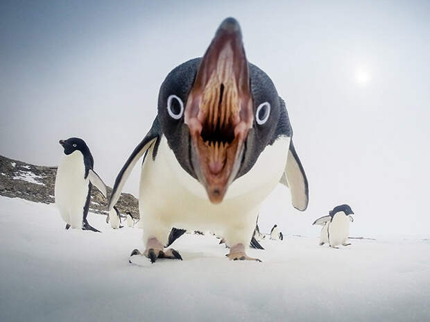 Лучшие фотографии апреля 2015 от National Geographic