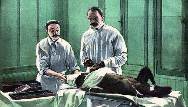 Сергей Воронов: хирург, который пересаживал людям яички обезьян ради бессмертия