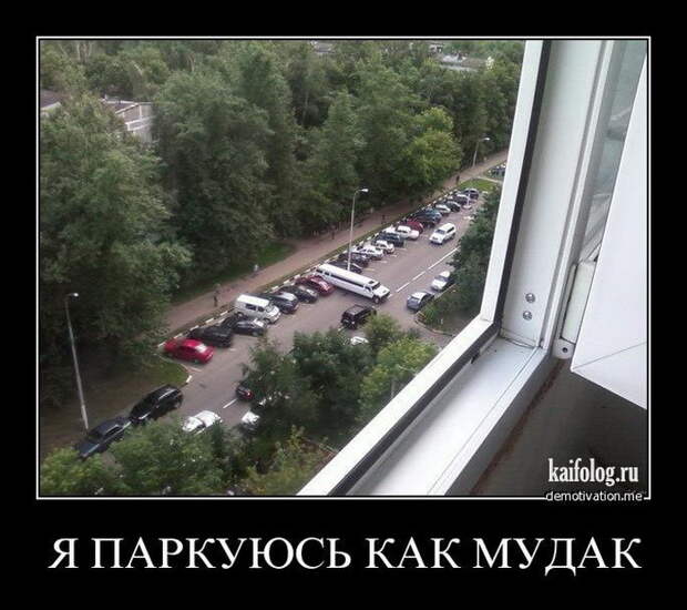 Демотиваторы - 137 (50 фото)