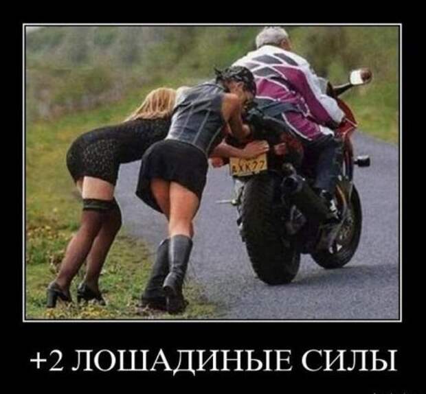 Новейшие демотиваторы все юморные.