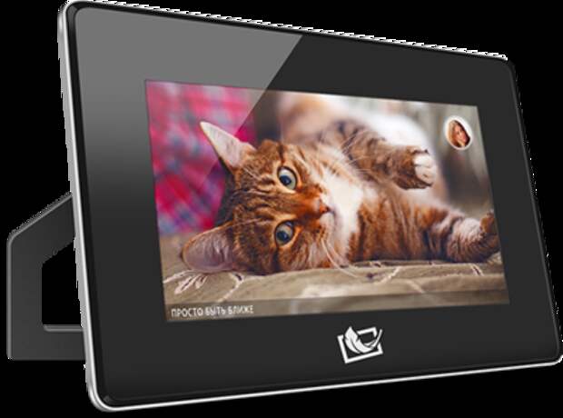 Рамка EasyFrame с котом