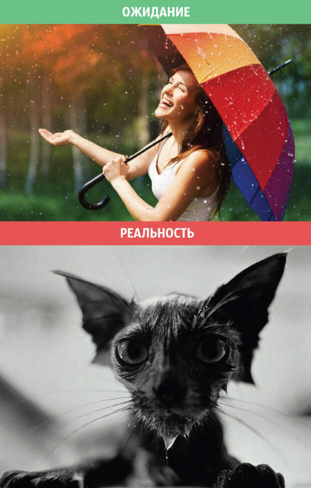 весна, ожидания и реальность