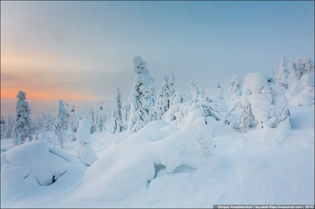 Зима в Лапландии / Winter in Lapland