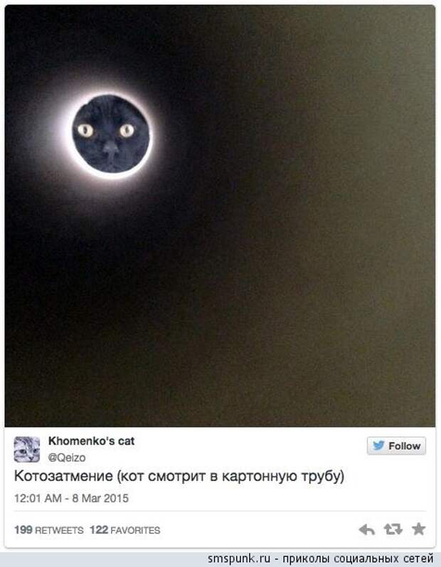 Котозатмение