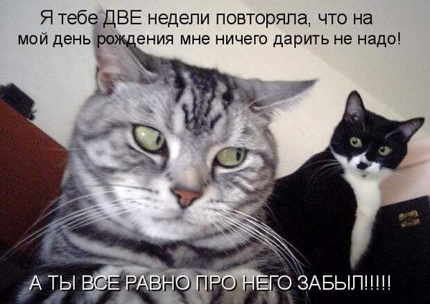 Кото матрица 7