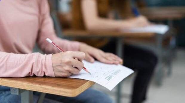 Студенты педвузов будут контролировать ЕГЭ: что известно о новом порядке