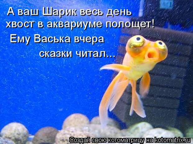 Котоматрица: А ваш Шарик весь день  хвост в аквариуме полощет! Ему Васька вчера  сказки читал...