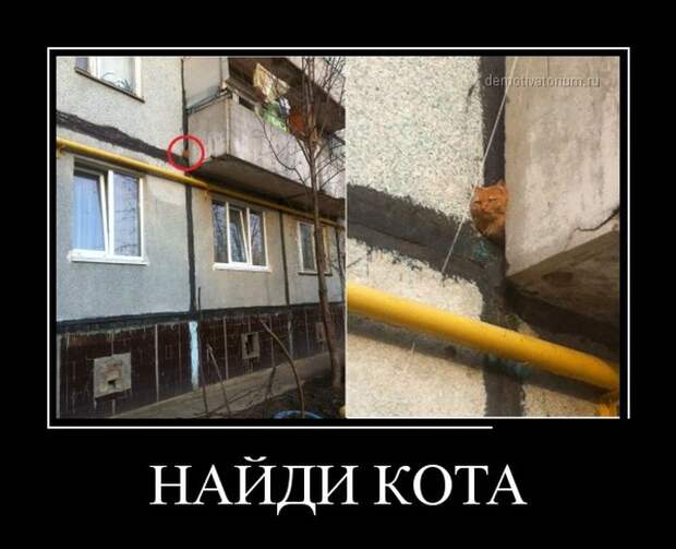 Демотиваторы демотиваторы, прикол, смех, юмор