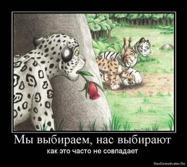 демотиваторы смысловые