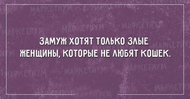https://cdn1.umbrella.green/wp-content/uploads/2017/01/14-29.jpg