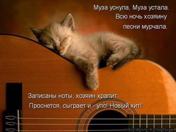 Котоматрицы(картинки с надписями)