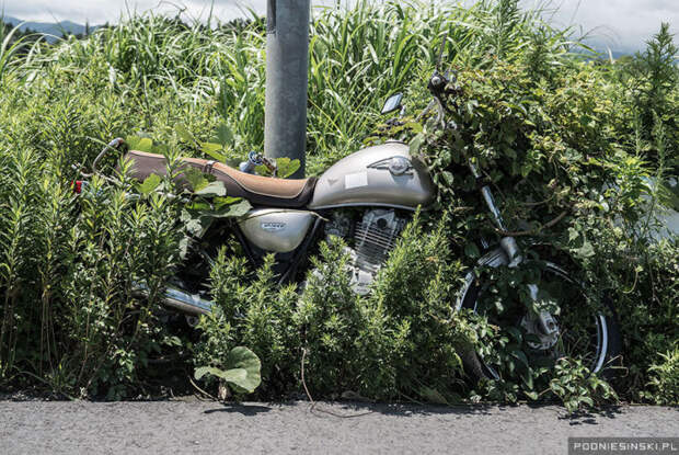 Привязанный мотоцикл медленно исчезает в траве.