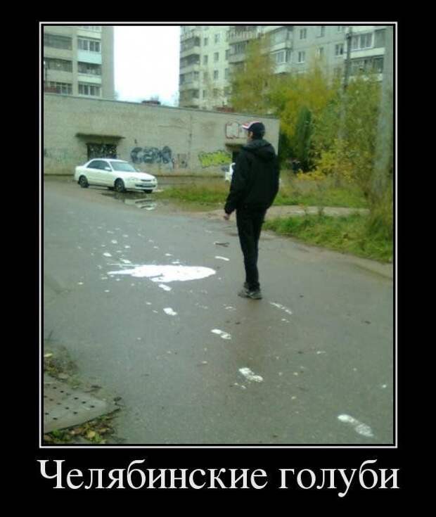 Демотиваторы (30 фото)