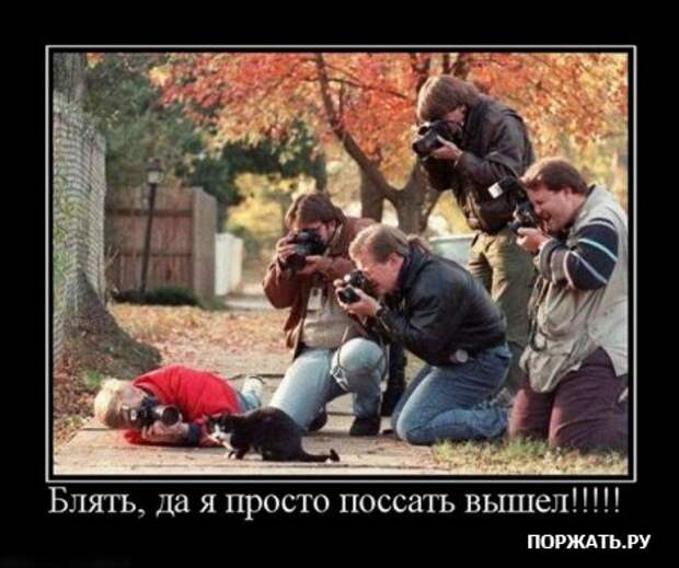 Демотивируемся по полной, только хорошими постами.