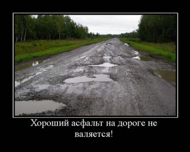 Картинки смешные в дорогу