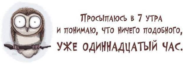 Спать охота, а тут еще прикол, работа, сон, юмор