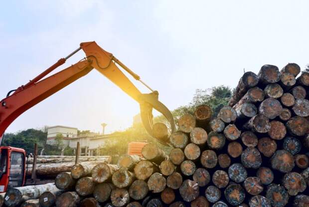 Контрабанду деловой древесины на 1,8 миллиона пресекли сотрудники ФСБ