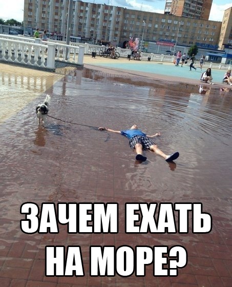 Смешные картинки с подписями  картинки, прикол, юмор