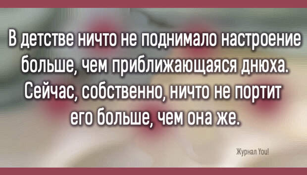 nost6