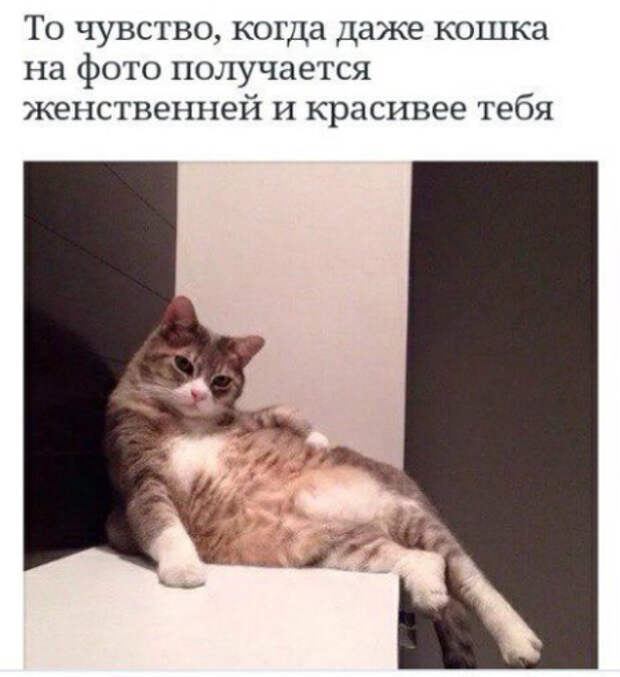 3991377_original (450x492, 175Kb)