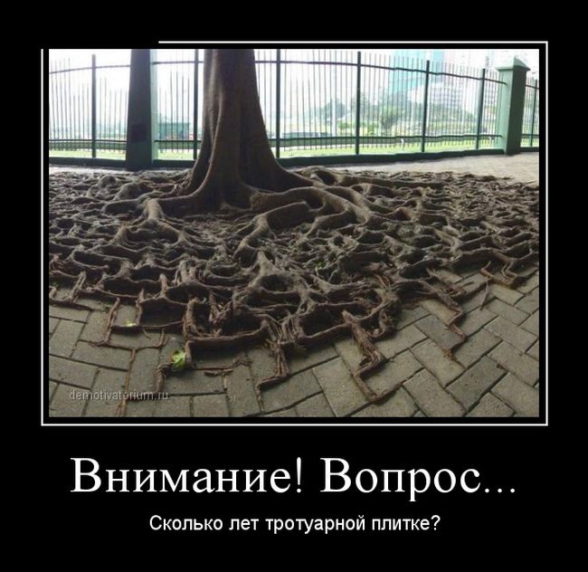 Демотиваторы (30 фото) Демотиваторы (30 фото)