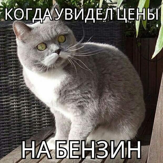 Немного автоприколов авто, автоприколы, прикол, юмор