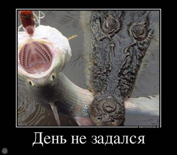 Отдохнул - отдохни ещё! 12