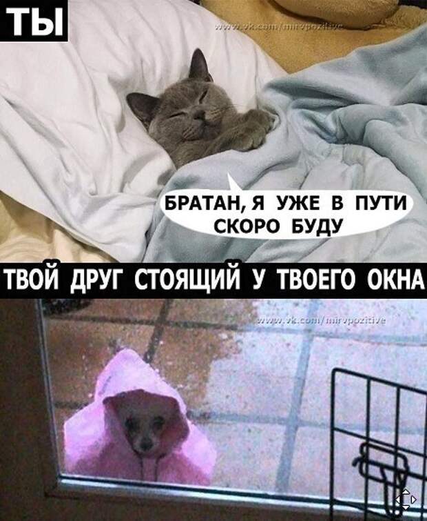 Ситуации, которые знакомы многим Ситуации, которые знакомы многим