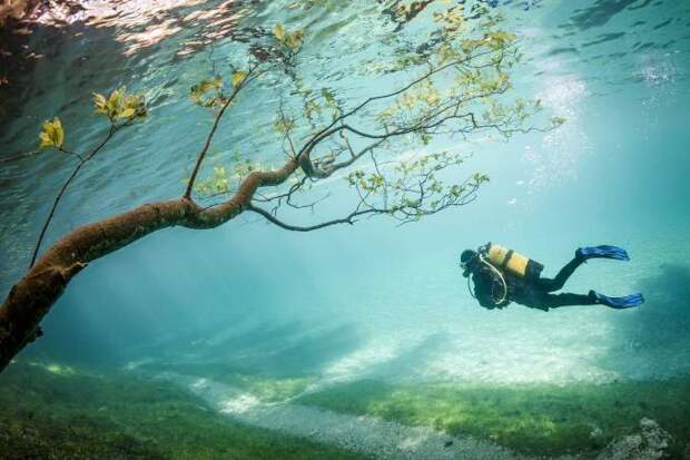 Зеленое озеро – излюбленное место дайверов и любителей подводных съемок Зеленое, драйвер, история, озеро, факты