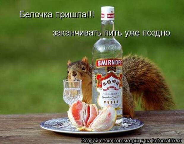 Подумала о своей жизни... сразу мухи налетели.
