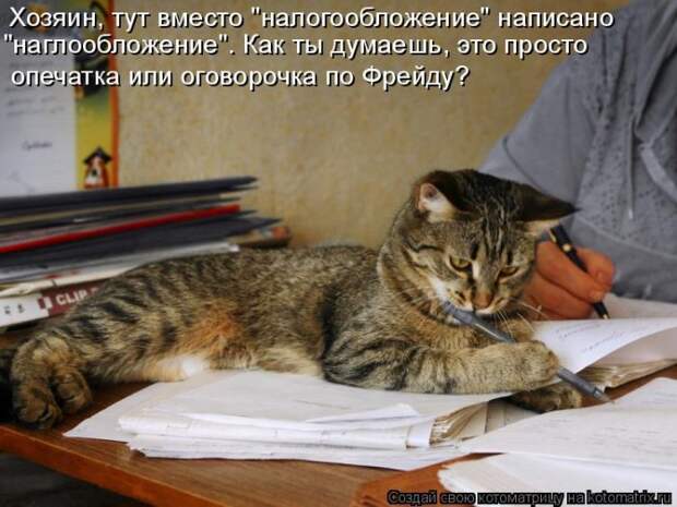 Котяры на приколе и их шаловливые друзья (35 фото)