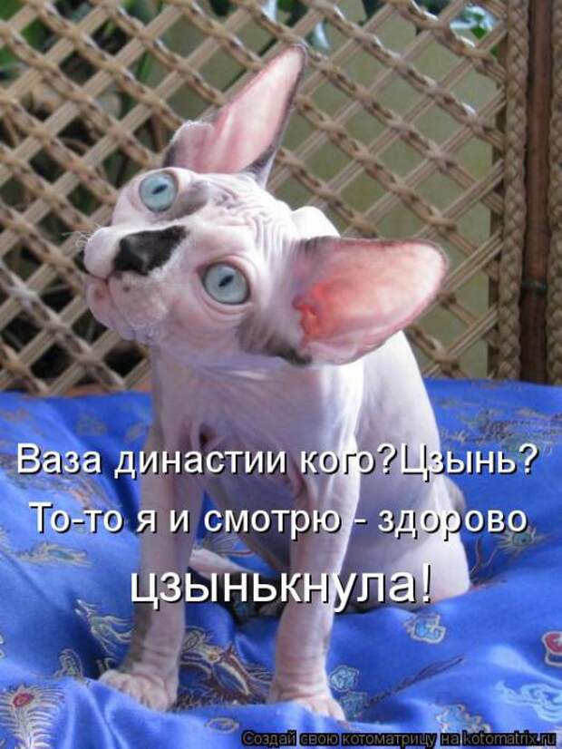 Подборка котоматриц №2