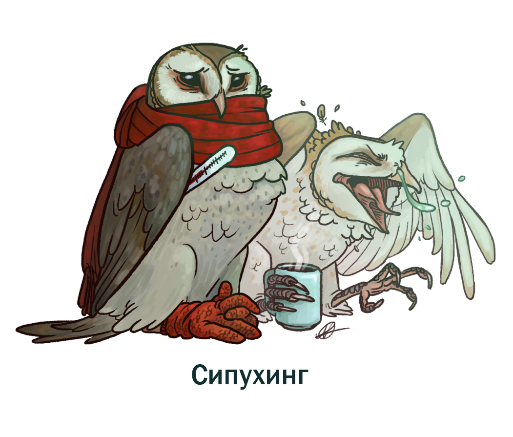 Неолимпийские виды спорта для всей семьи в картинках!