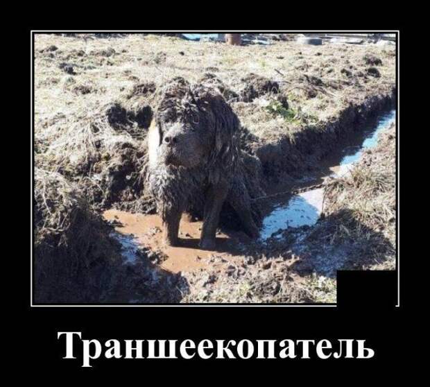 demotivatory-demotivator-smeshnye-demotivatory-demotivator-so-smyslom