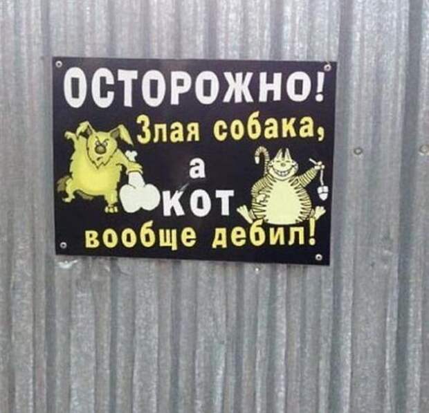 Картинки, юмор, приколы