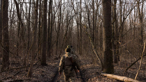 Мендель: окно для мира на Украине закроется через месяцы