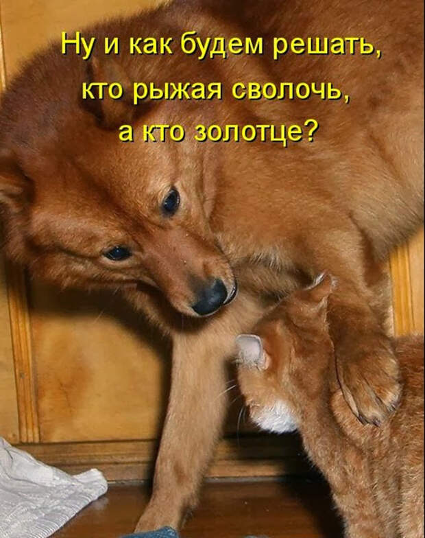 1094142