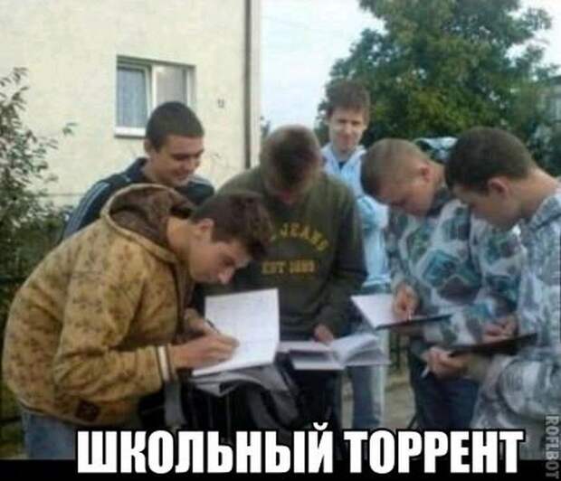 Прикольные картинки Прикольные картинки