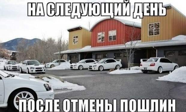 Новогодняя подборка прикольных картинок Новогодняя подборка прикольных картинок