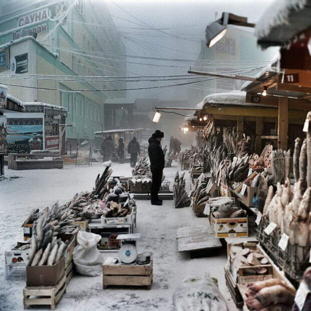 Холодный Якутск: фотографии Steeve Iuncker Холодный Якутск: фотографии Steeve Iuncker